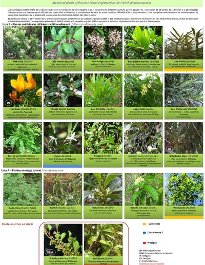 Poster plantes de La Réunion pharmacopée 22 plantes_cb ADPAPAM APLAMEDOM v5 lj ml