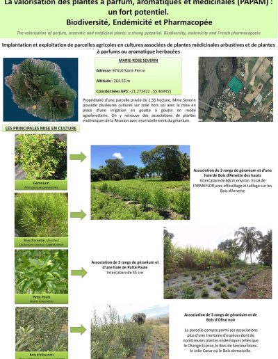 parcelles experimentales1