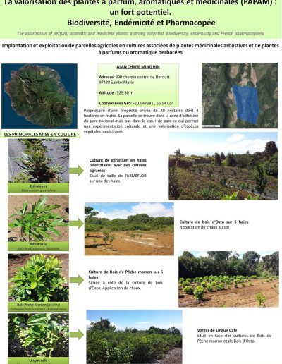 parcelles experimentales3