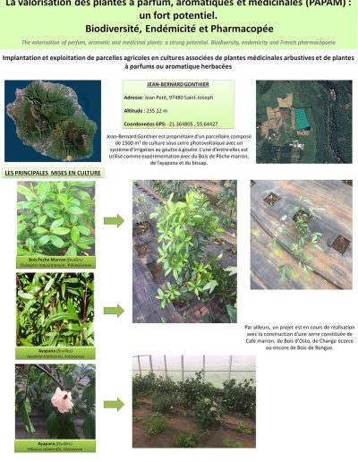 parcelles experimentales4