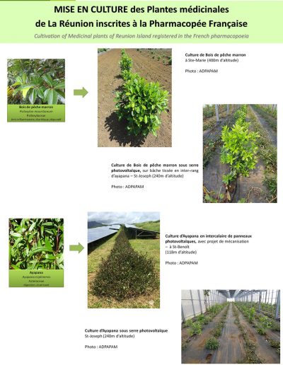 valorisation agricole2