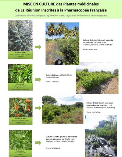 valorisation agricole4