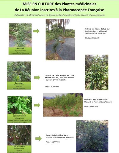 valorisation agricole5